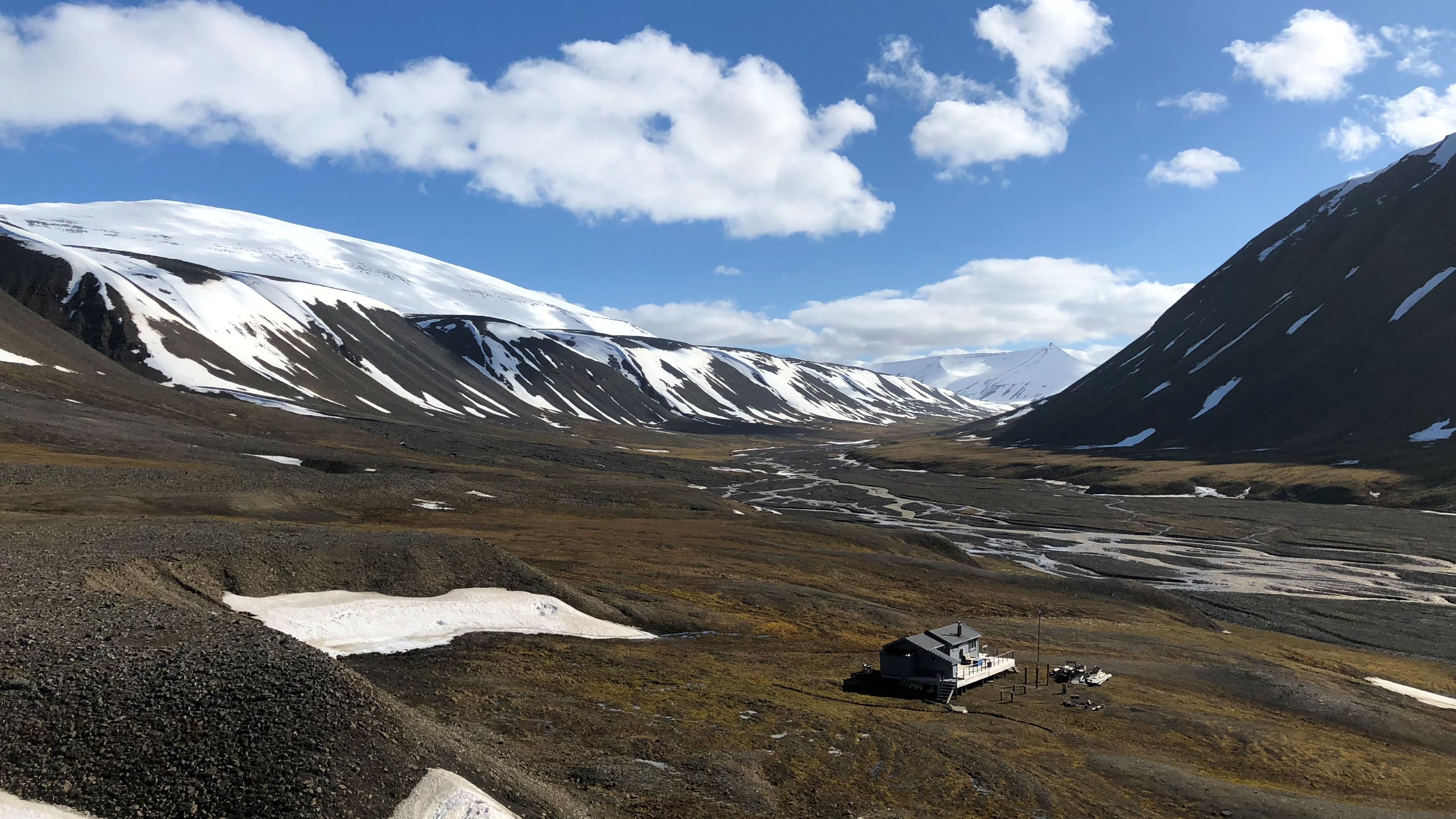 Bjørndalen Wilderness Walk: Arctic Wildlife Realm - Arctic