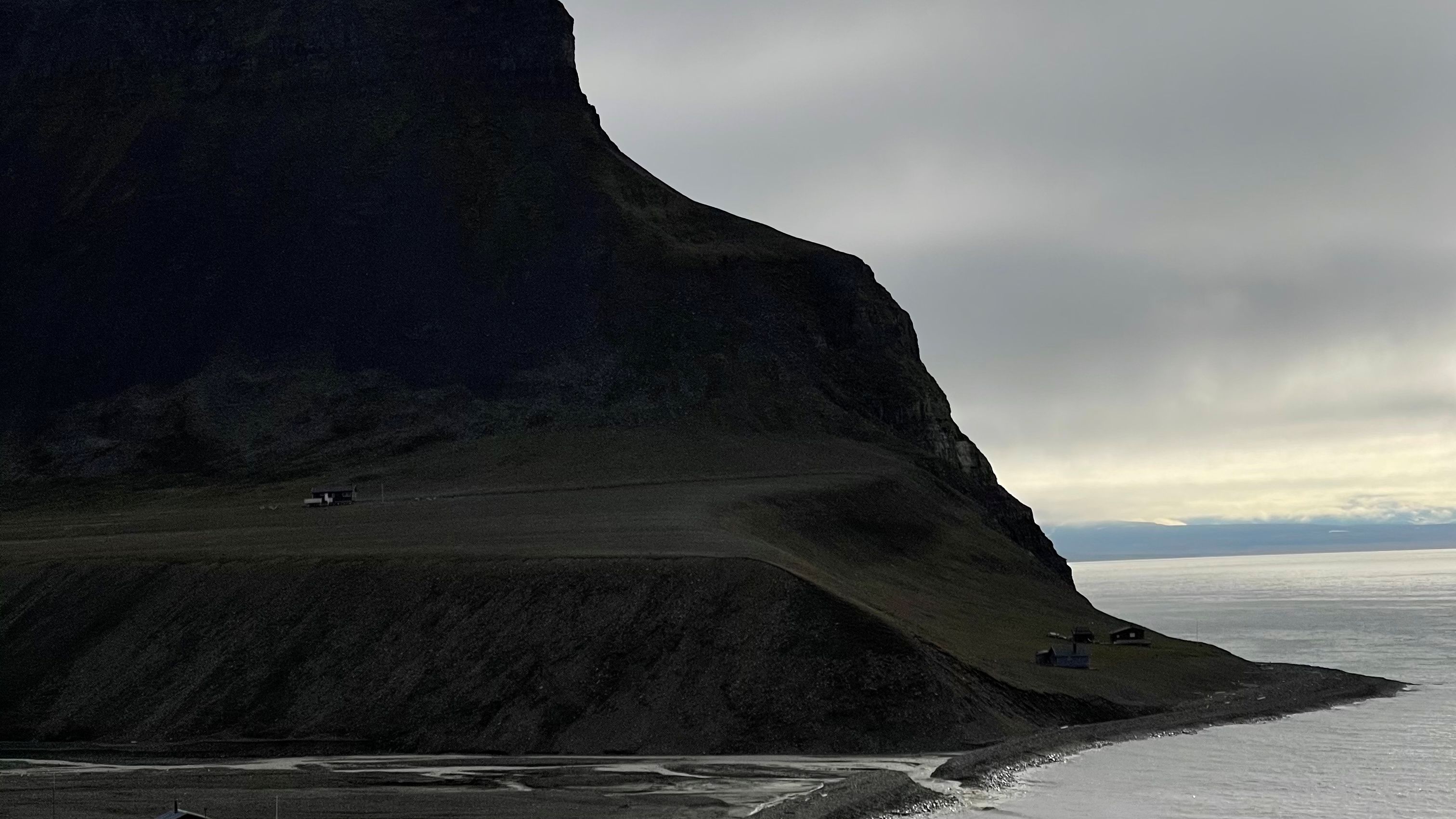 Bjørndalen Wilderness Walk: Arctic Wildlife Realm - Arctic