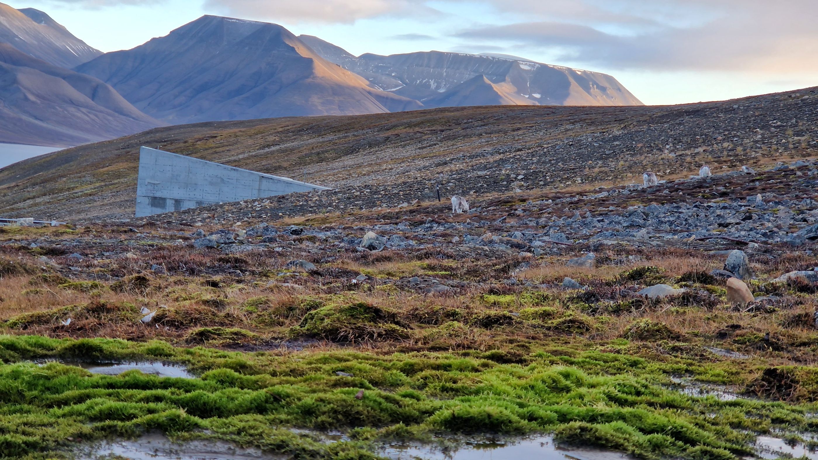The Global Seed Vault and iconic places in Longyearbyen - Backyard