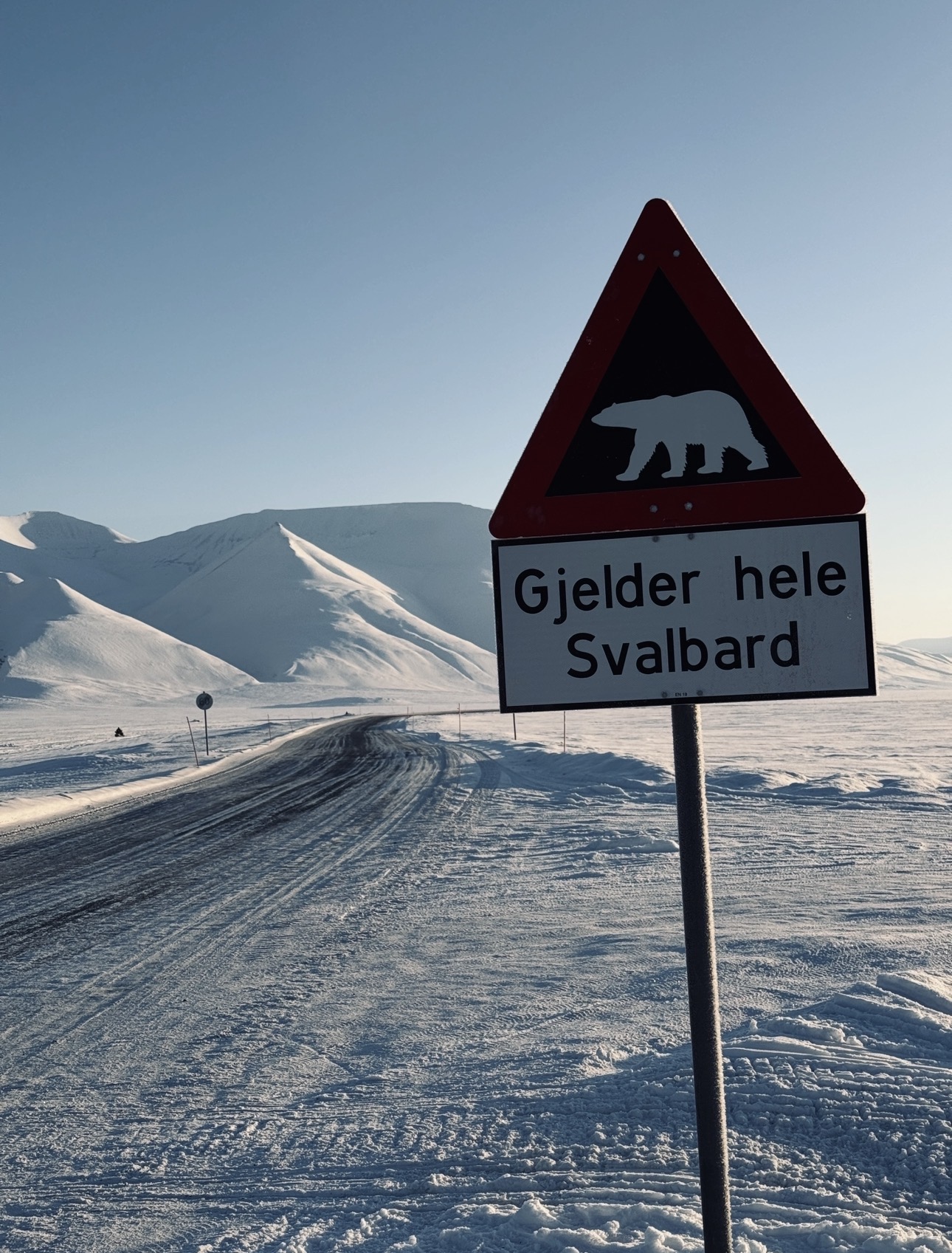Cruiseline Tour - Spitzbergen Adventures - Sightseeing in