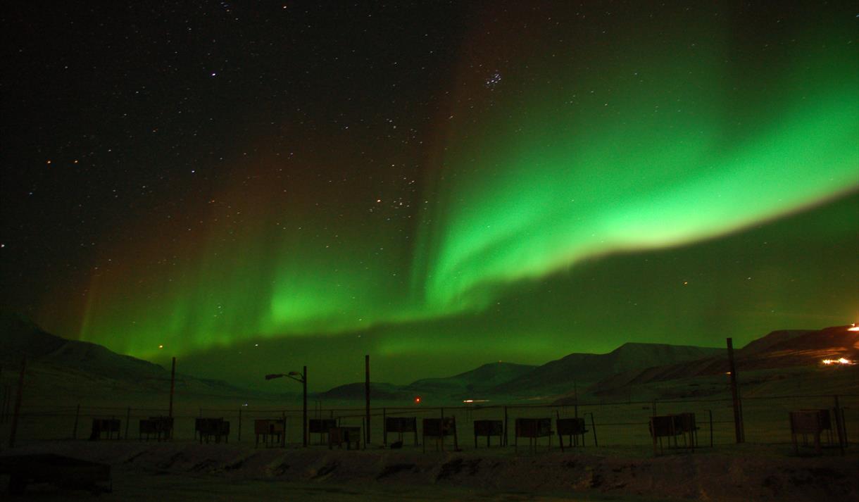 Arctic Dogsled Expedition In The Polar Night Svalbard